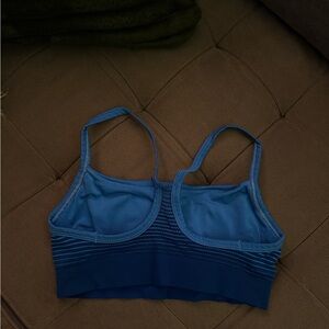 Seamless Patagonia Blue Sports Bra